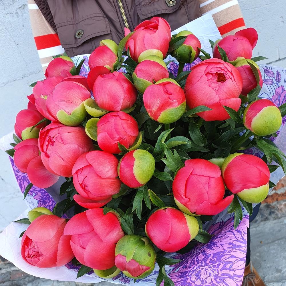 Шикарный букет пионов "Леди Шарм" Шикарный букет пионов "Леди Шарм"