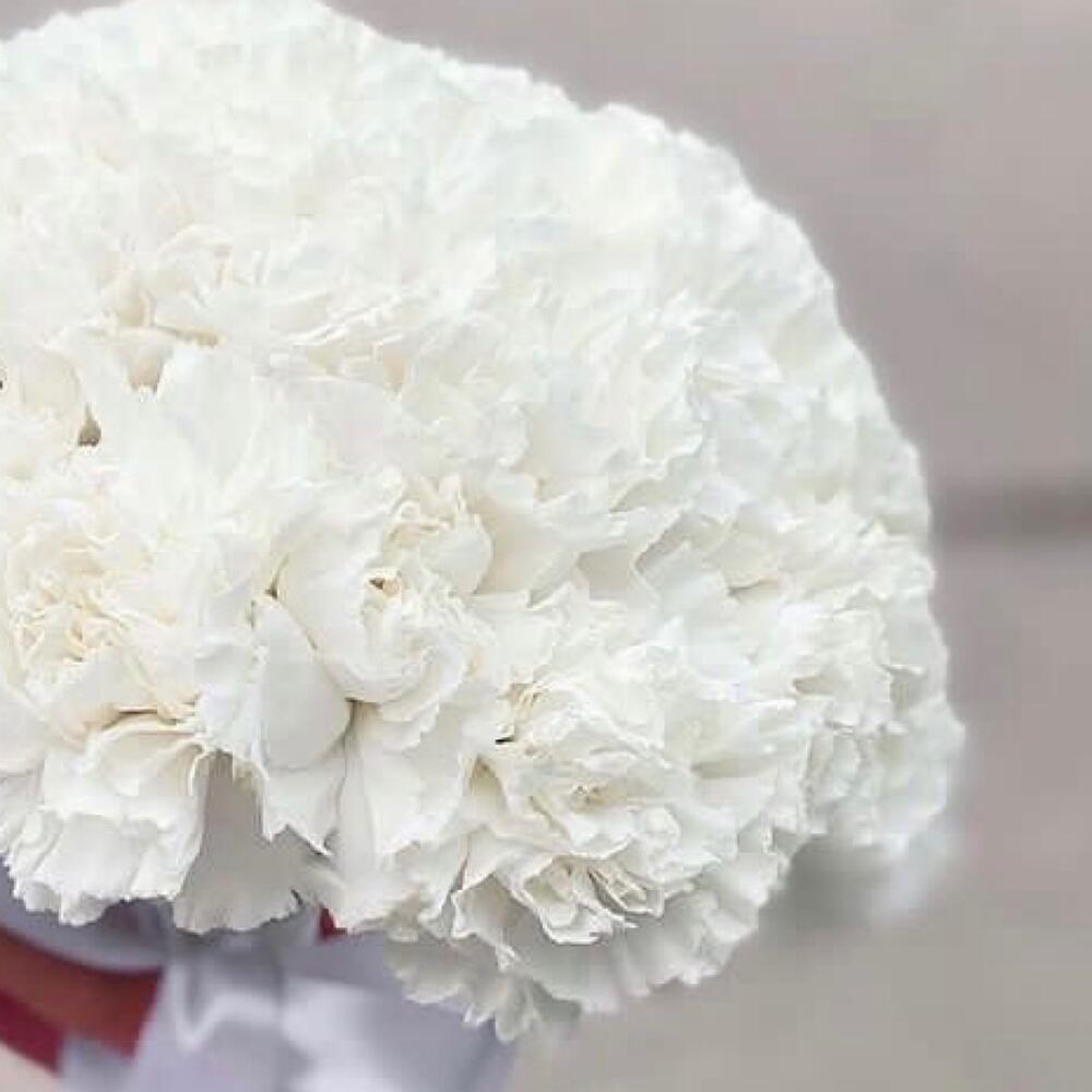 Свадебный букет из нежных диантусов Свадебный букет из нежных диантусов