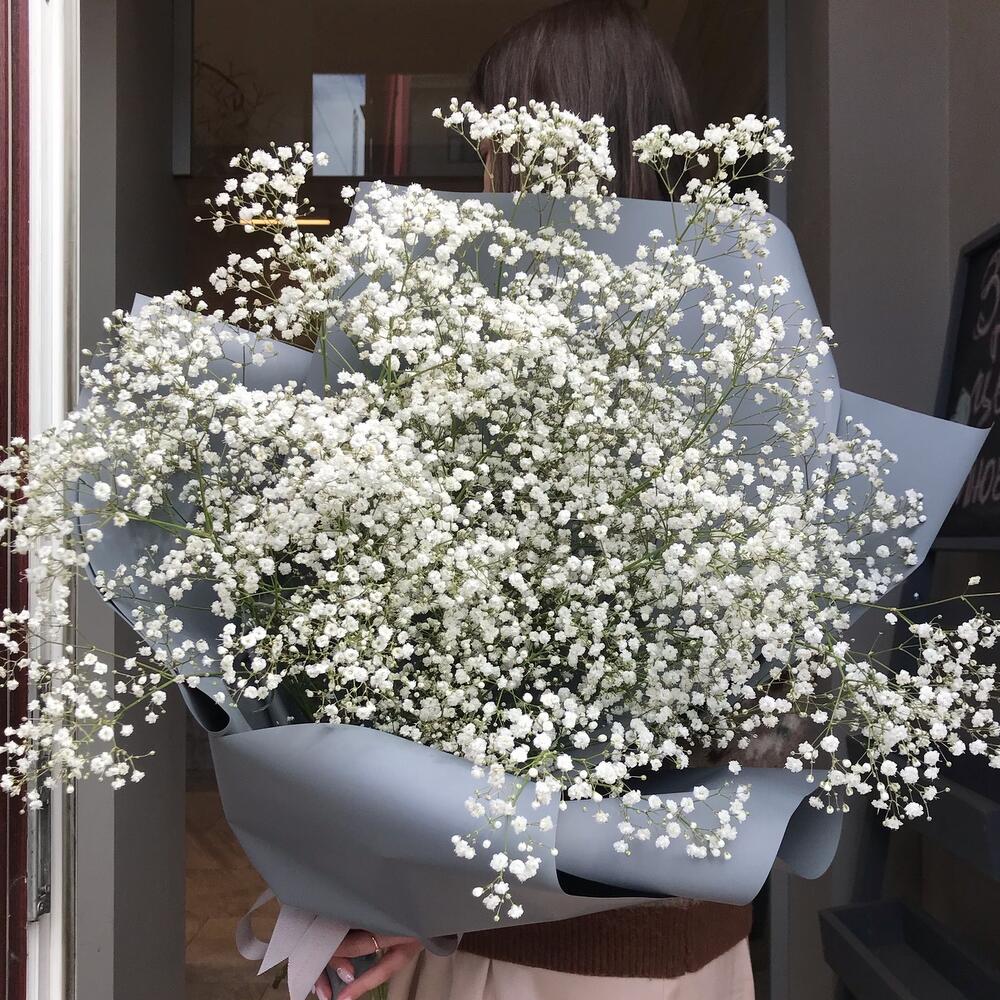 Пышный букет из гипсофилы Пышный букет из гипсофилы