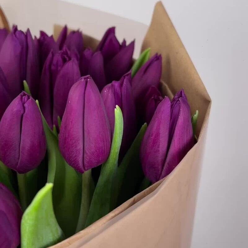 Тюльпаны в крафте насыщенно-фиолетовые Тюльпаны в крафте насыщенно-фиолетовые