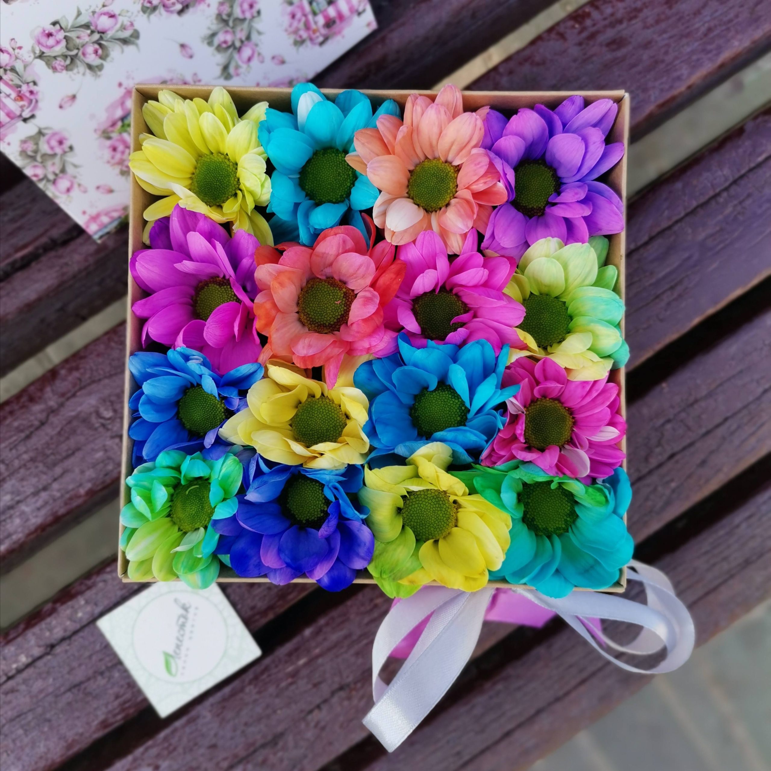 3e65441d-37a0-4584-b87d-809379055565