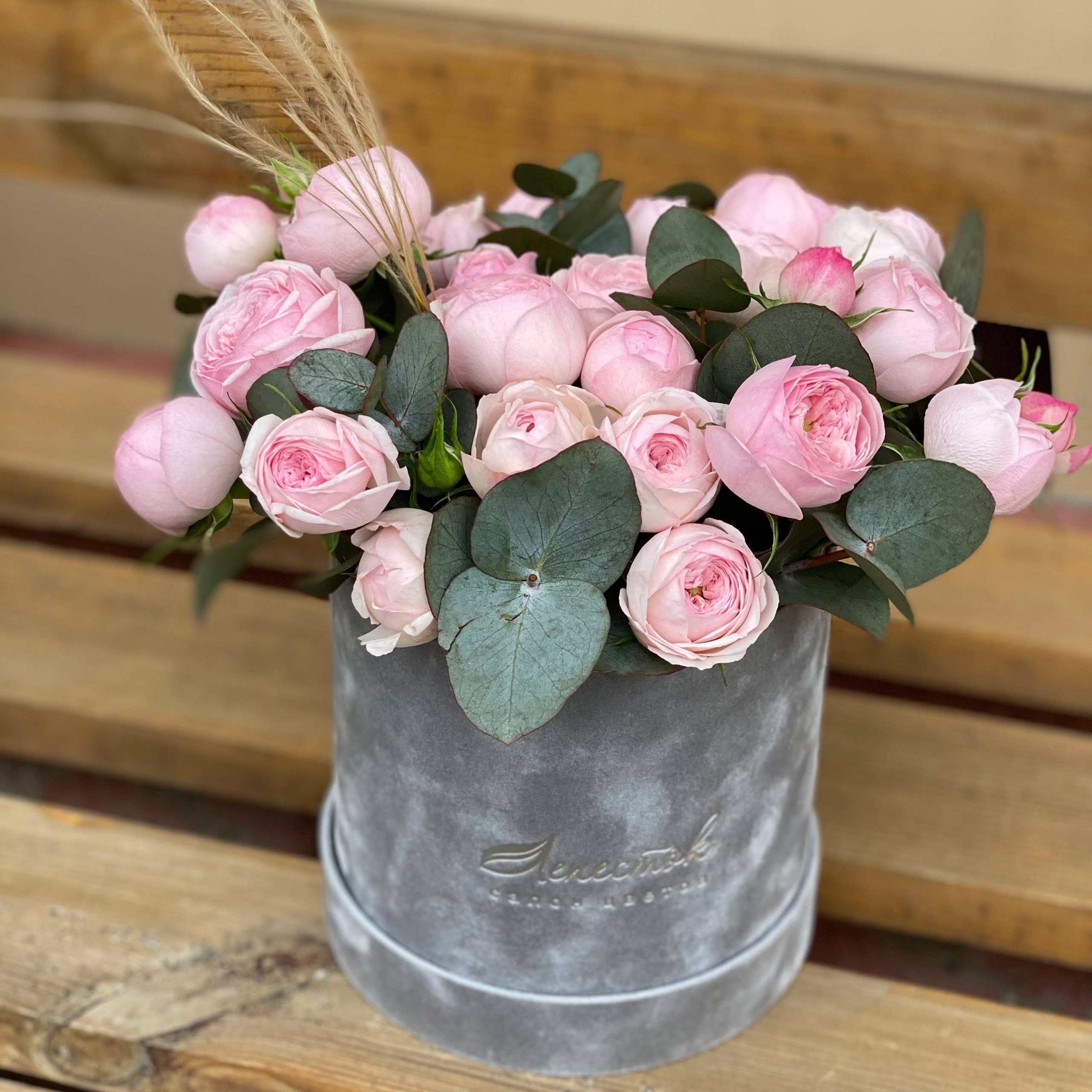 51bbe6e0-c151-45fb-aaad-fa48e6f9f6c4